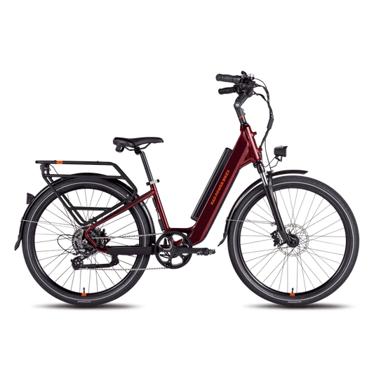 Rad Power Bikes RadCity  5 Plus Electric Commuter Bike - 104-00031