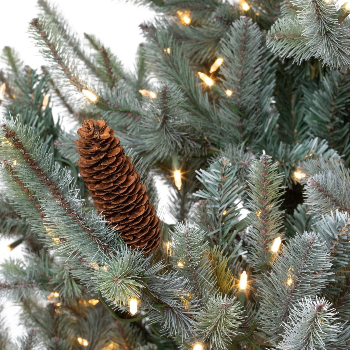 Park Hill Collection Tree Lot 7.5' Park Hill Blue Spruce LED Lights - XPQ82168