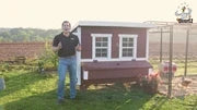 Large Chicken Coop - Up to 15 Chickens