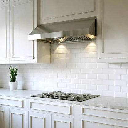 XO APPLIANCE XOT48KSE 48" 1000 CFM Italian Made Pro Hood Range Hood in Stainless Steel